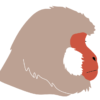 monkey-inomata
